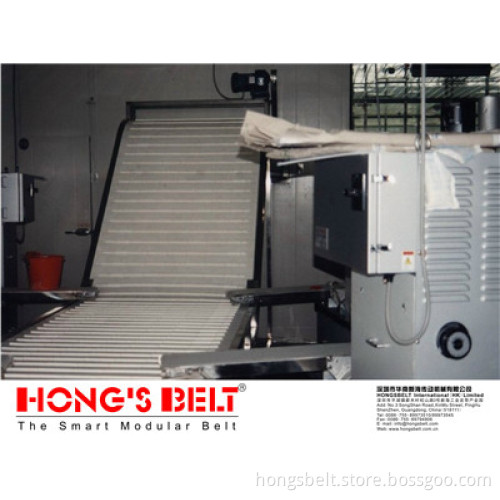 The Food Grade Modular Belt with Flight (HS-200B)